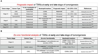 Neutrophil Heterogeneity in Cancer: From Biology to Therapies